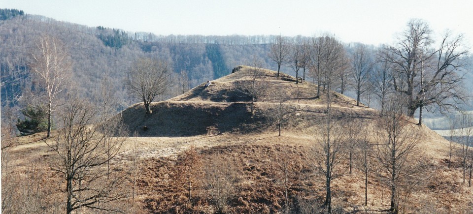 Vue générale du site fortifié d'Oyez (Cliché : J.-P. Usse).